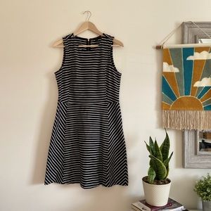 J. Crew | Striped Fitted Cotton Dress